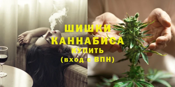 крисы Магадан