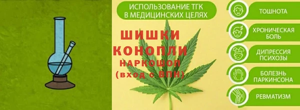 гашик Магас