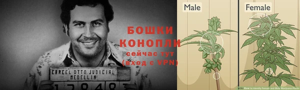 гашик Магас