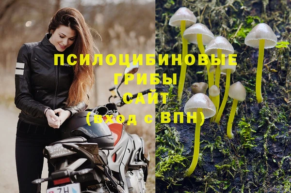 крисы Магадан