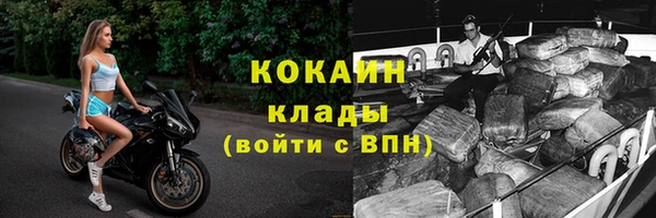 крисы Магадан